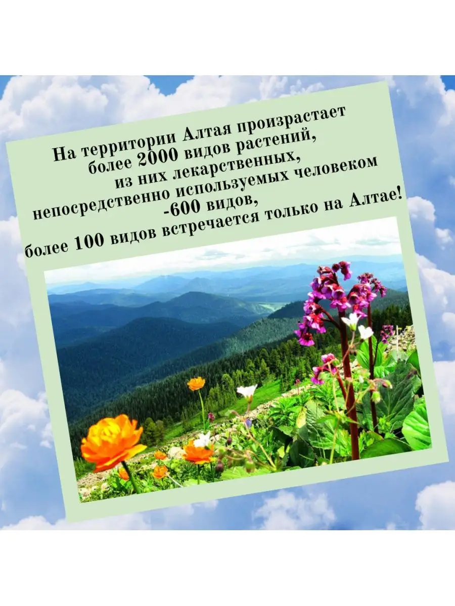 Мумие алтайское натуральное 25 г Данила Травник 166329072 купить за 450 ₽ в  интернет-магазине Wildberries