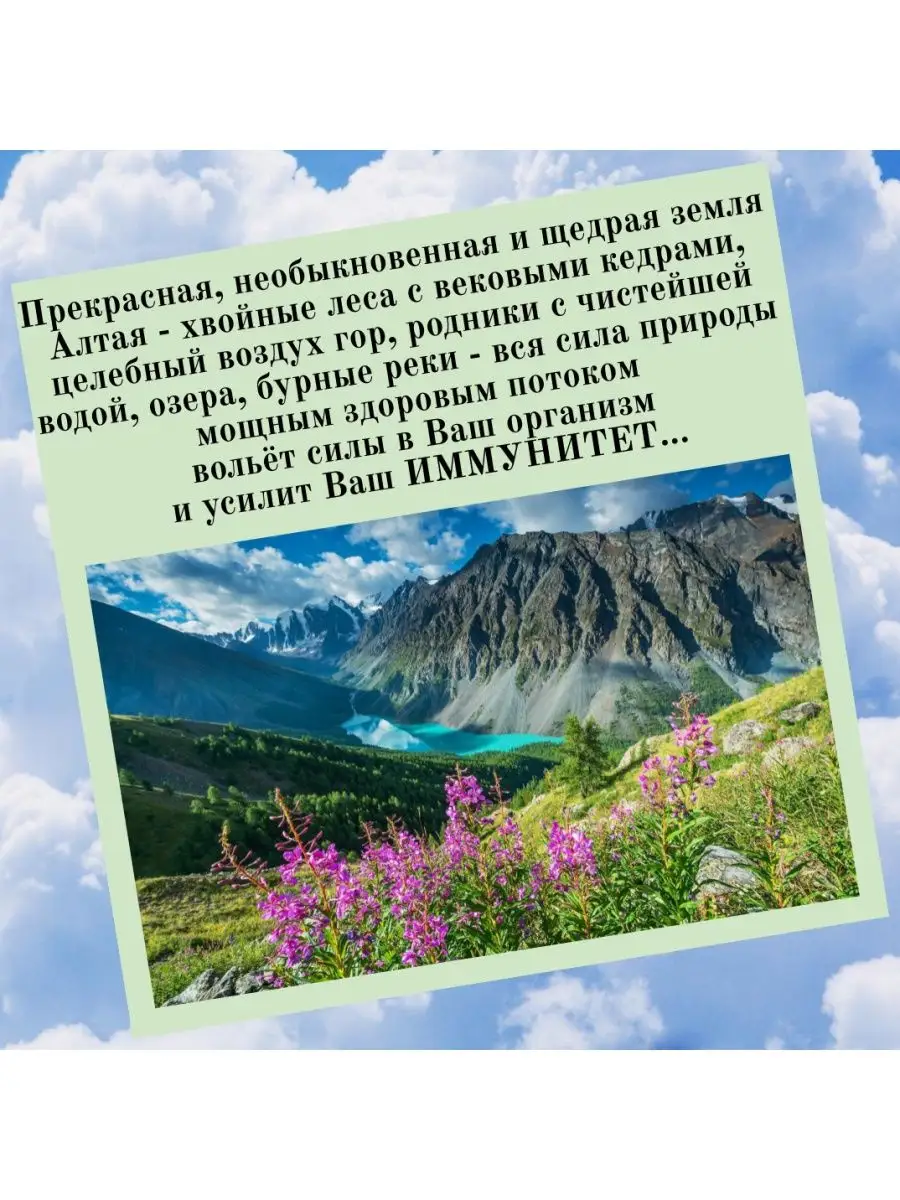 Мумие алтайское натуральное 25 г Данила Травник 166329072 купить за 450 ₽ в  интернет-магазине Wildberries