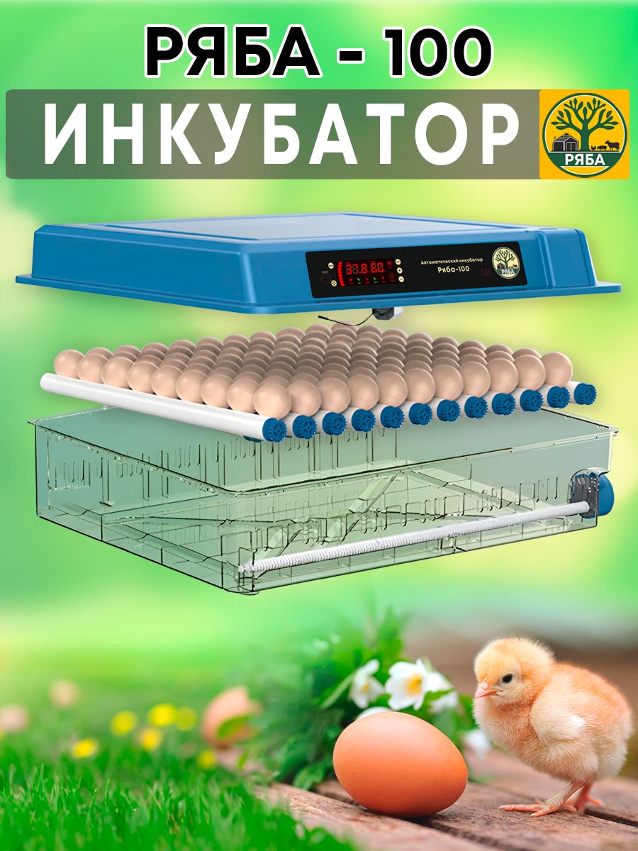 Инкубатор ряба 64