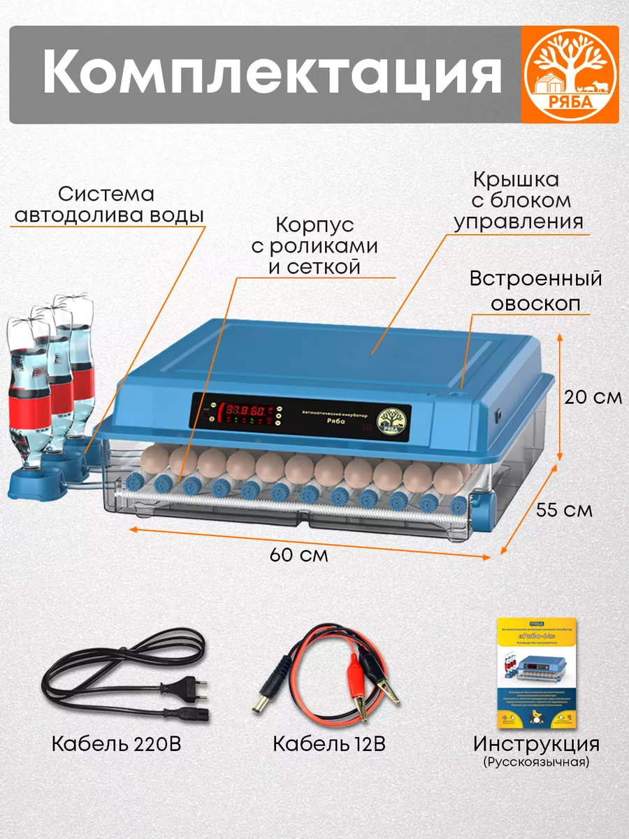 Инкубатор для яиц автоматический с терморегулятором Производитель Ряба  166329488 купить за 10 061 ₽ в интернет-магазине Wildberries