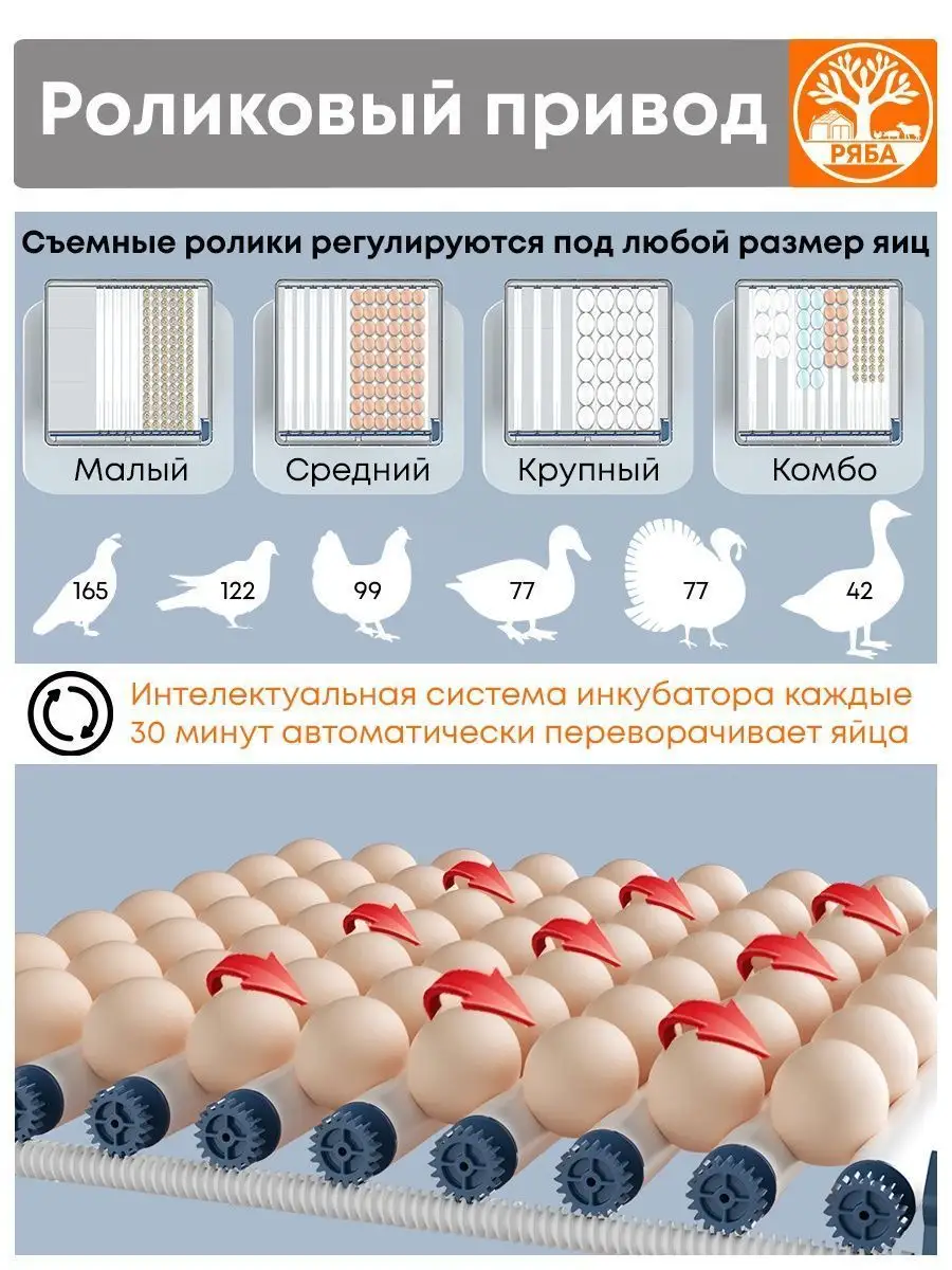 Инкубатор для яиц автоматический с терморегулятором Производитель Ряба  166329488 купить за 10 516 ₽ в интернет-магазине Wildberries