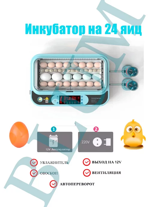 Blum Инкубатор для яиц автоматический с терморегулятором, синий, фото 6