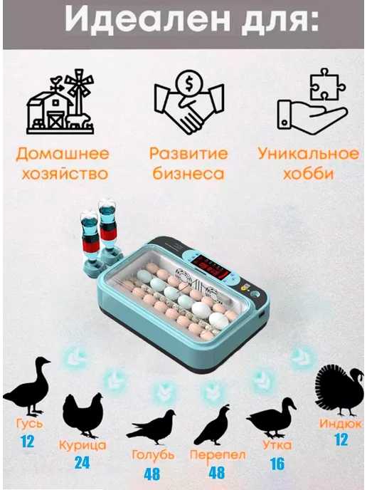 Blum Инкубатор для яиц автоматический с терморегулятором, синий, фото 7