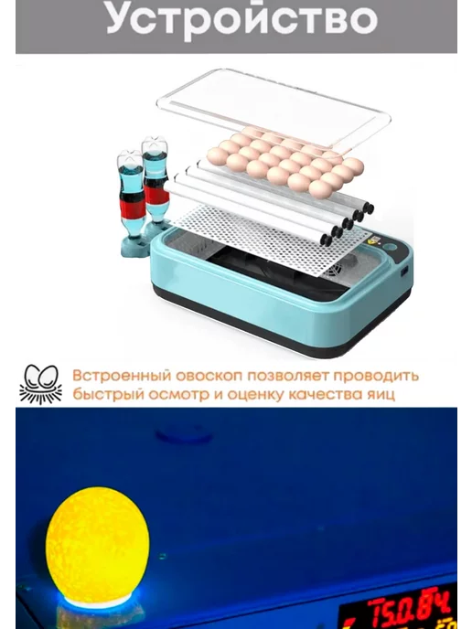Blum Инкубатор для яиц автоматический с терморегулятором, синий, фото 8