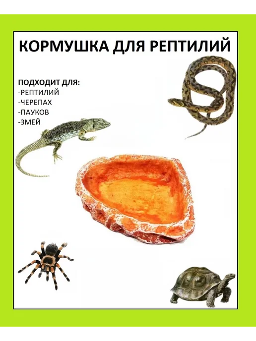 The home Кормушка поилка для рептилий для террариума клетки аквариума, оранжевый
