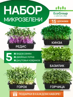 Набор микрозелени для выращивания EcoGroup 166354917 купить за 505 ₽ в интернет-магазине Wildberries