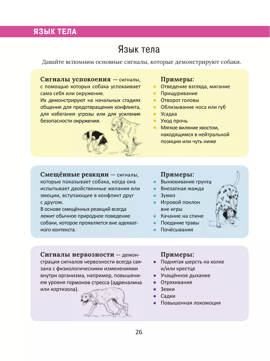 Рабочая тетрадь владельца собаки Издательство АСТ 166365528 купить за 411 ₽  в интернет-магазине Wildberries