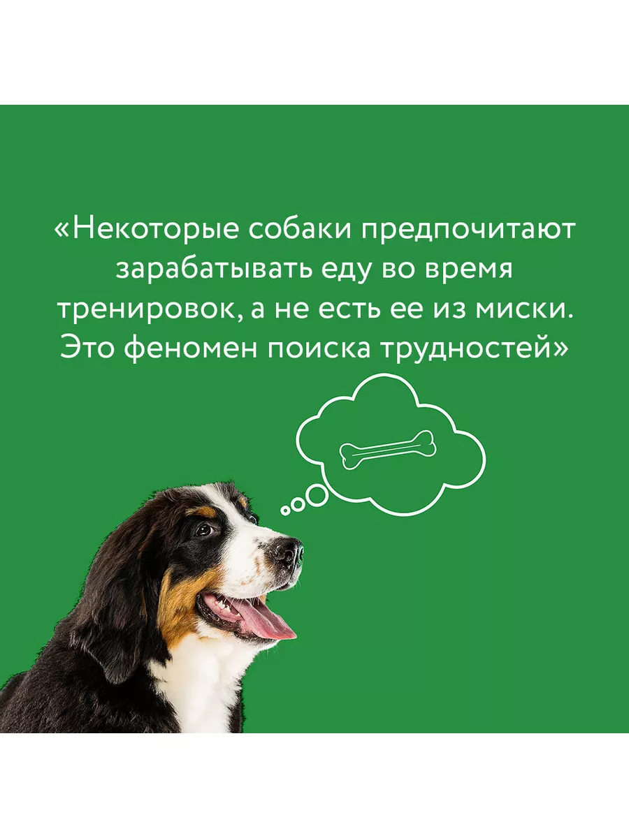 Рабочая тетрадь владельца собаки Издательство АСТ 166365528 купить за 403 ₽  в интернет-магазине Wildberries