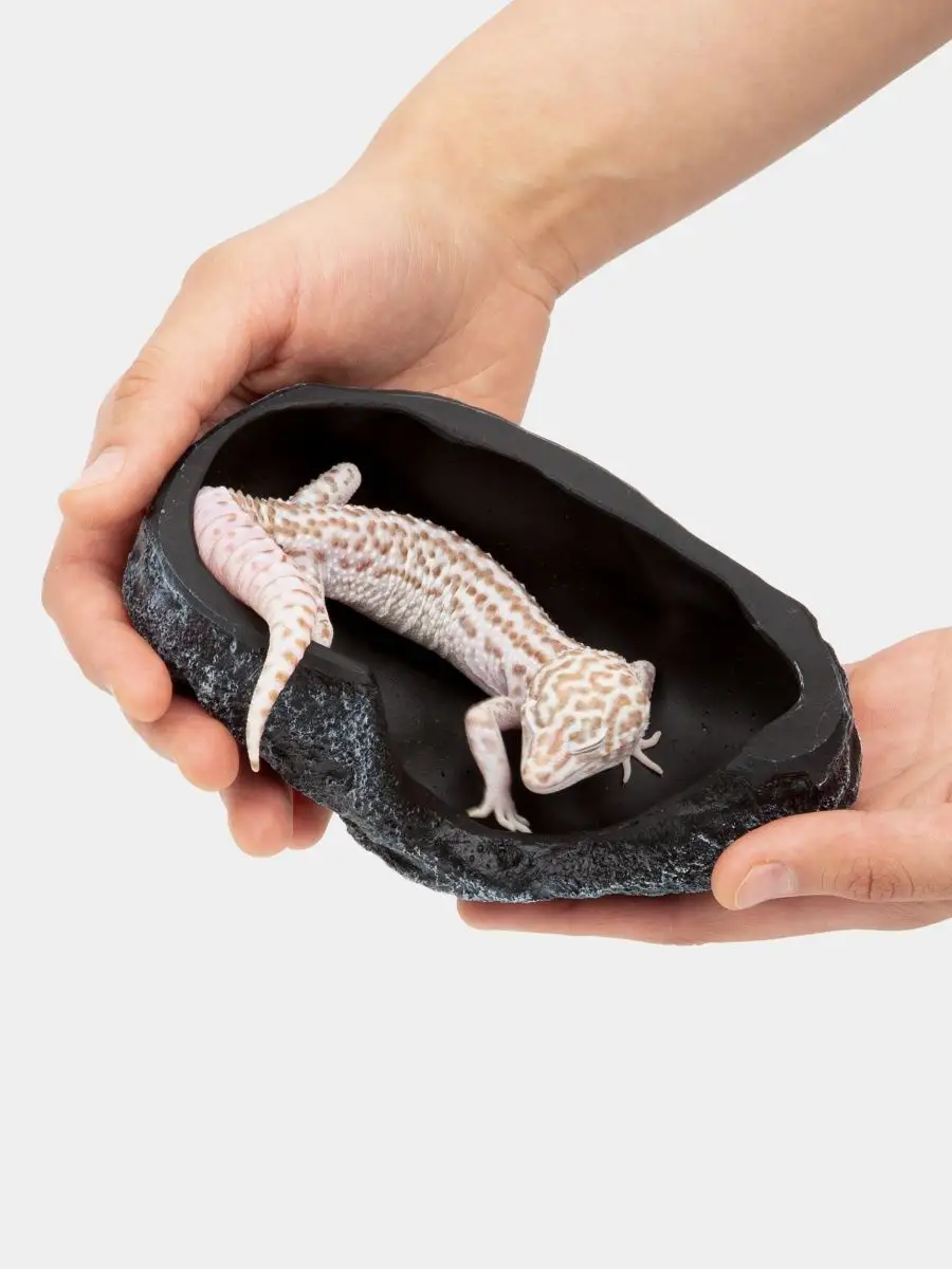 Укрытие для рептилий и террариума ХОЛОДНЫЕ ЛАПКИ / CUTE REPTILE 166485085  купить за 664 ₽ в интернет-магазине Wildberries