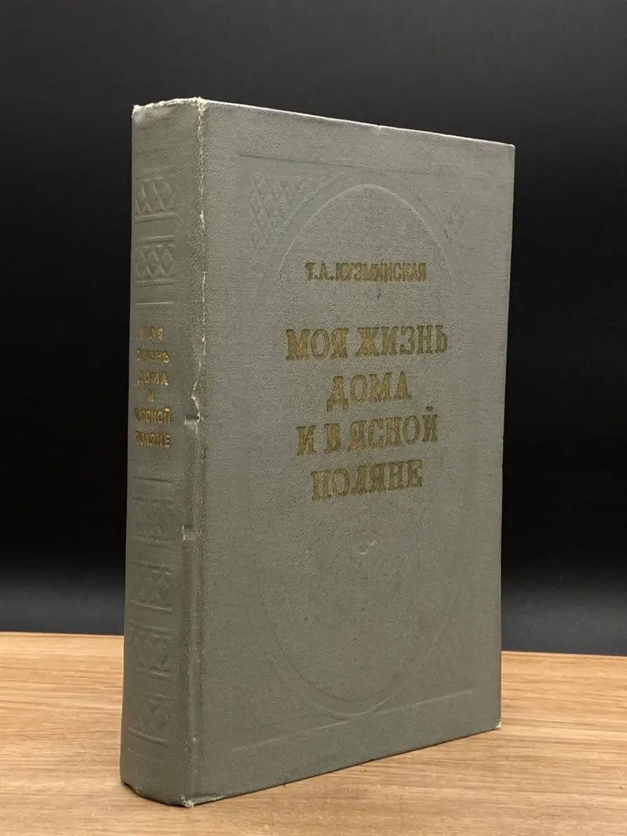 Моя жизнь дома и в Ясной Поляне Приокское книжное издательство 166486349  купить в интернет-магазине Wildberries