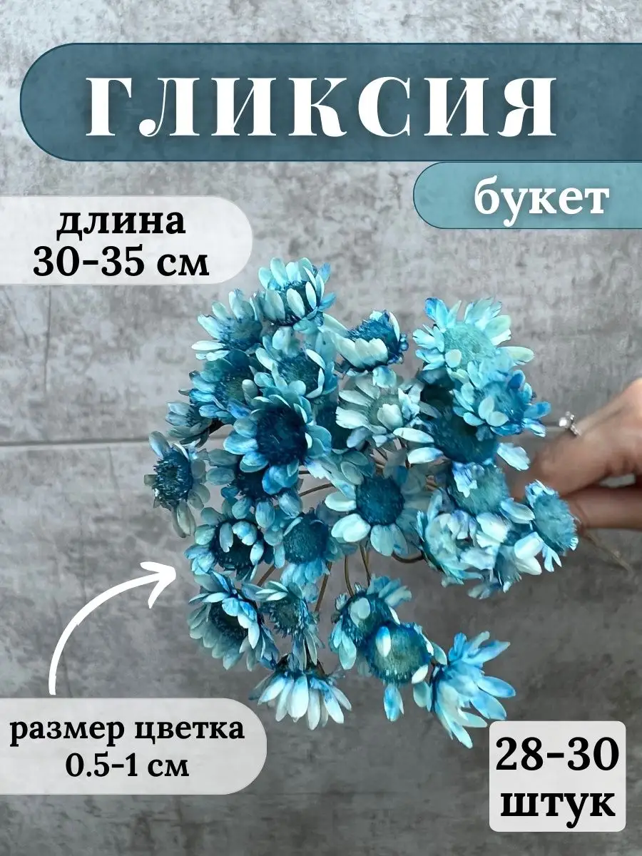 Сухоцветы Гликсия для декора и творчества