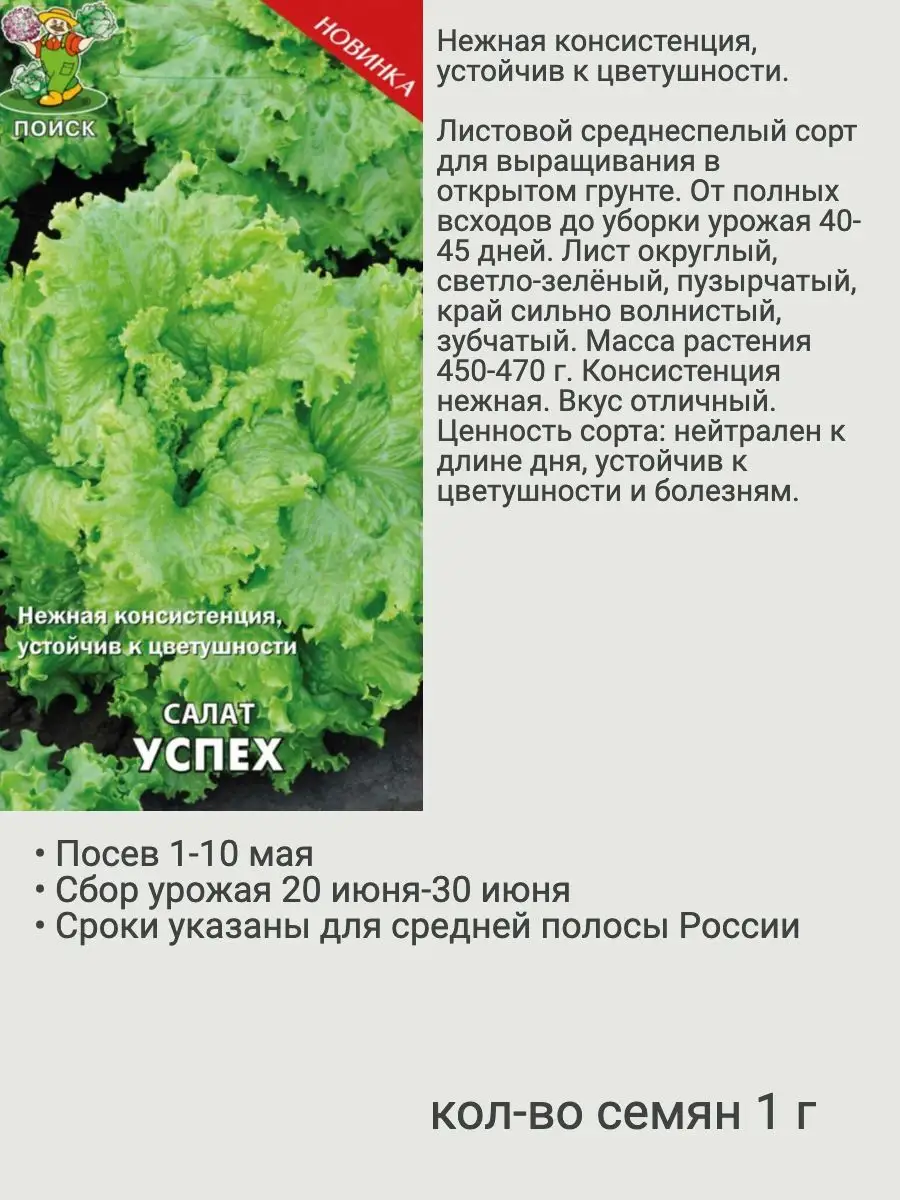 Салат листовой семена 6 Агрохолдинг Поиск 166522389 купить за 243 ₽ в  интернет-магазине Wildberries