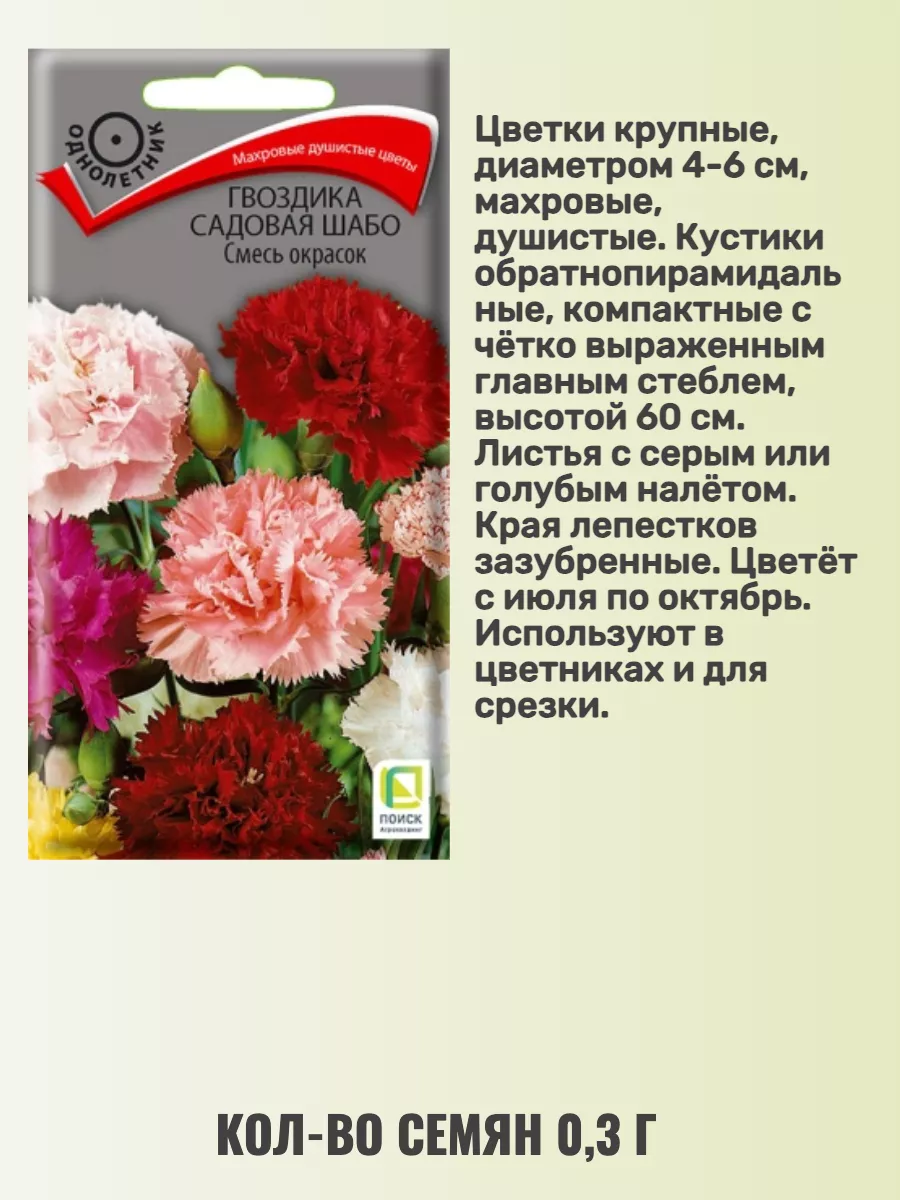 Семена гвоздики садовой шабо Агрохолдинг Поиск 166528236 купить за 243 ₽ в  интернет-магазине Wildberries