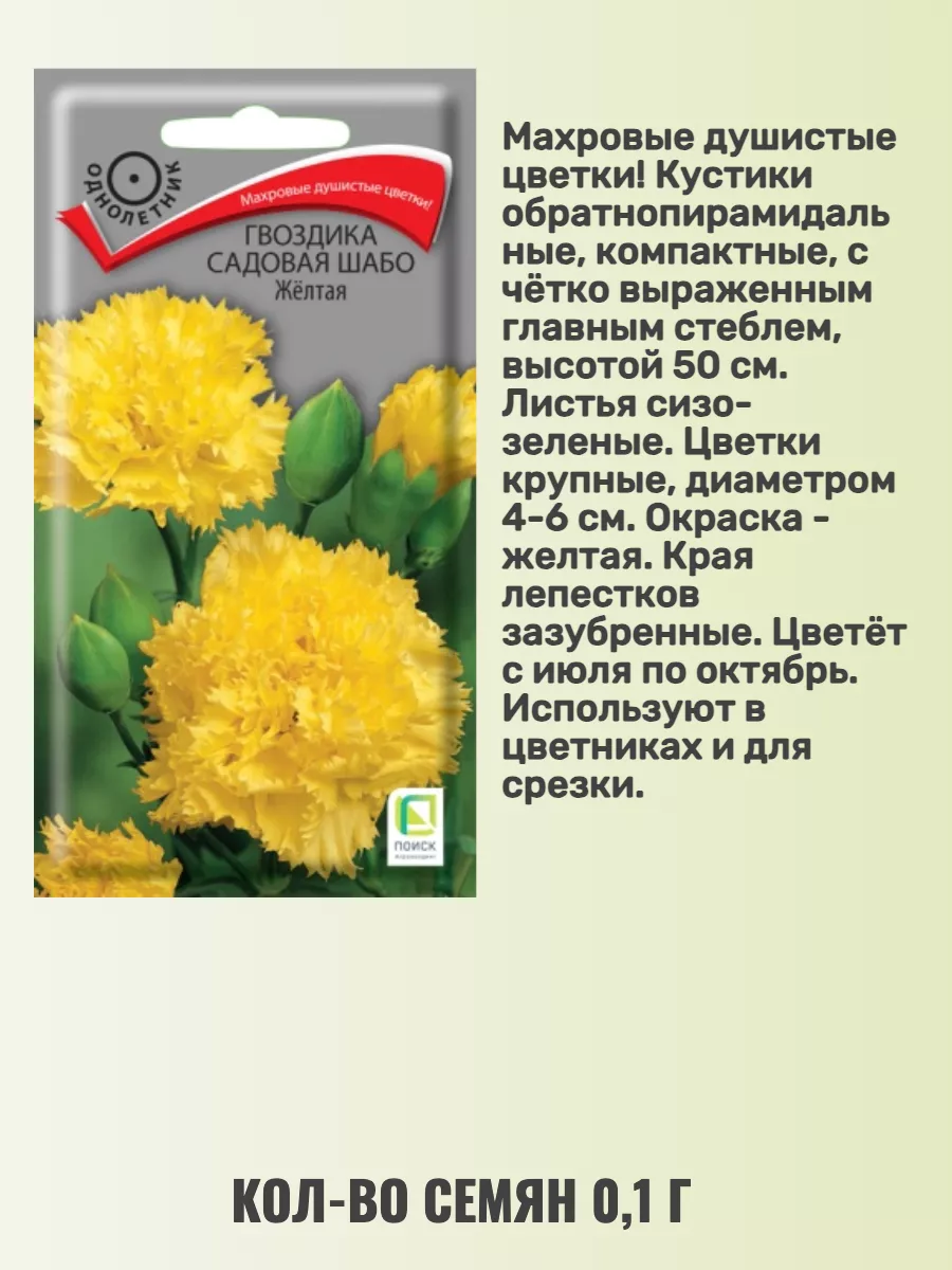 Семена гвоздики садовой шабо Агрохолдинг Поиск 166528236 купить за 243 ₽ в  интернет-магазине Wildberries