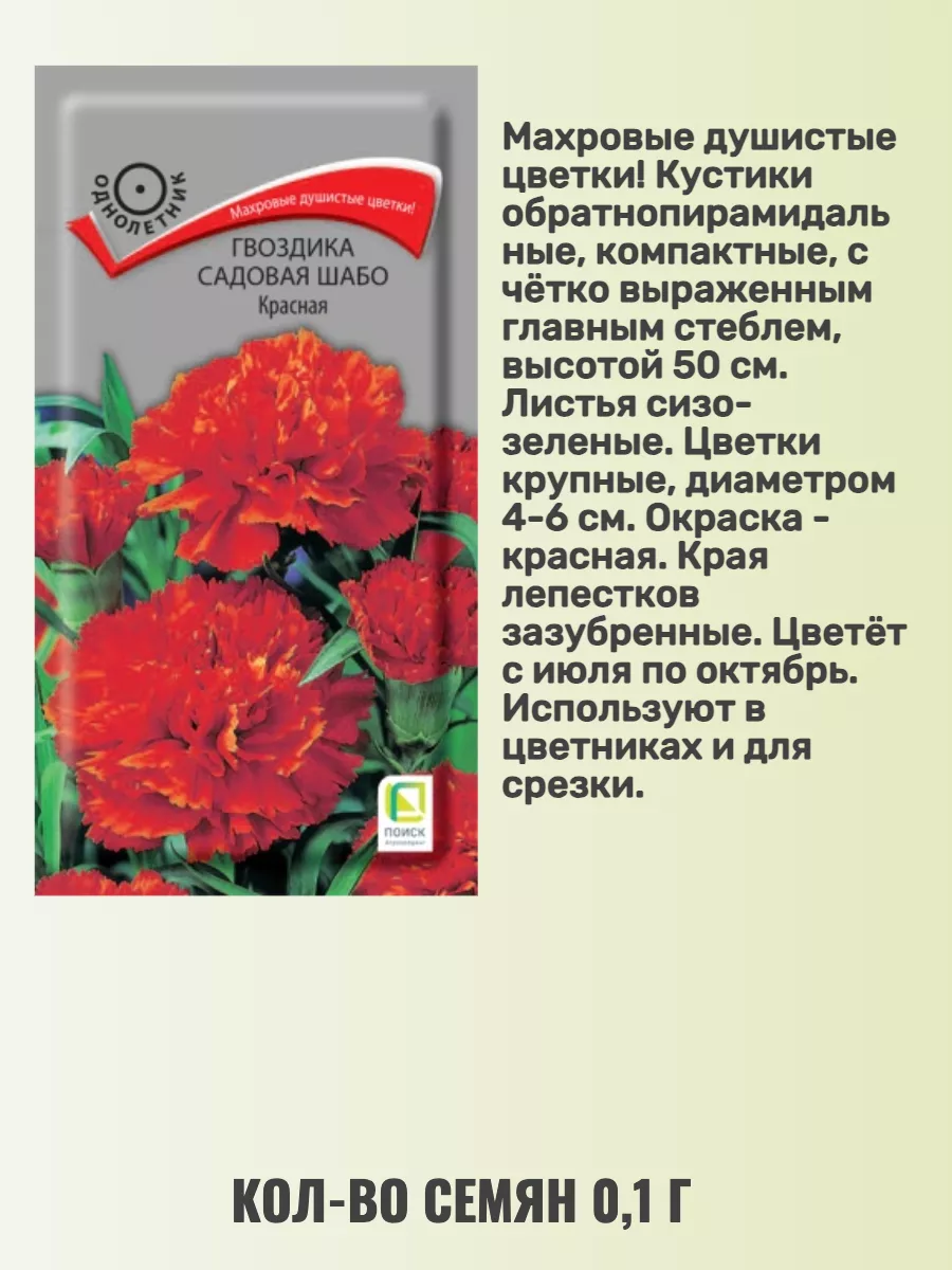 Семена гвоздики садовой шабо Агрохолдинг Поиск 166528236 купить за 243 ₽ в  интернет-магазине Wildberries