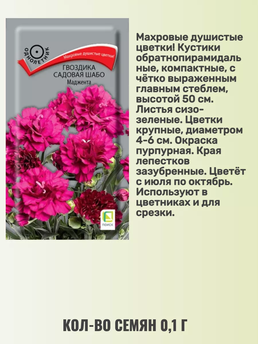 Семена гвоздики садовой шабо Агрохолдинг Поиск 166528236 купить за 243 ₽ в  интернет-магазине Wildberries