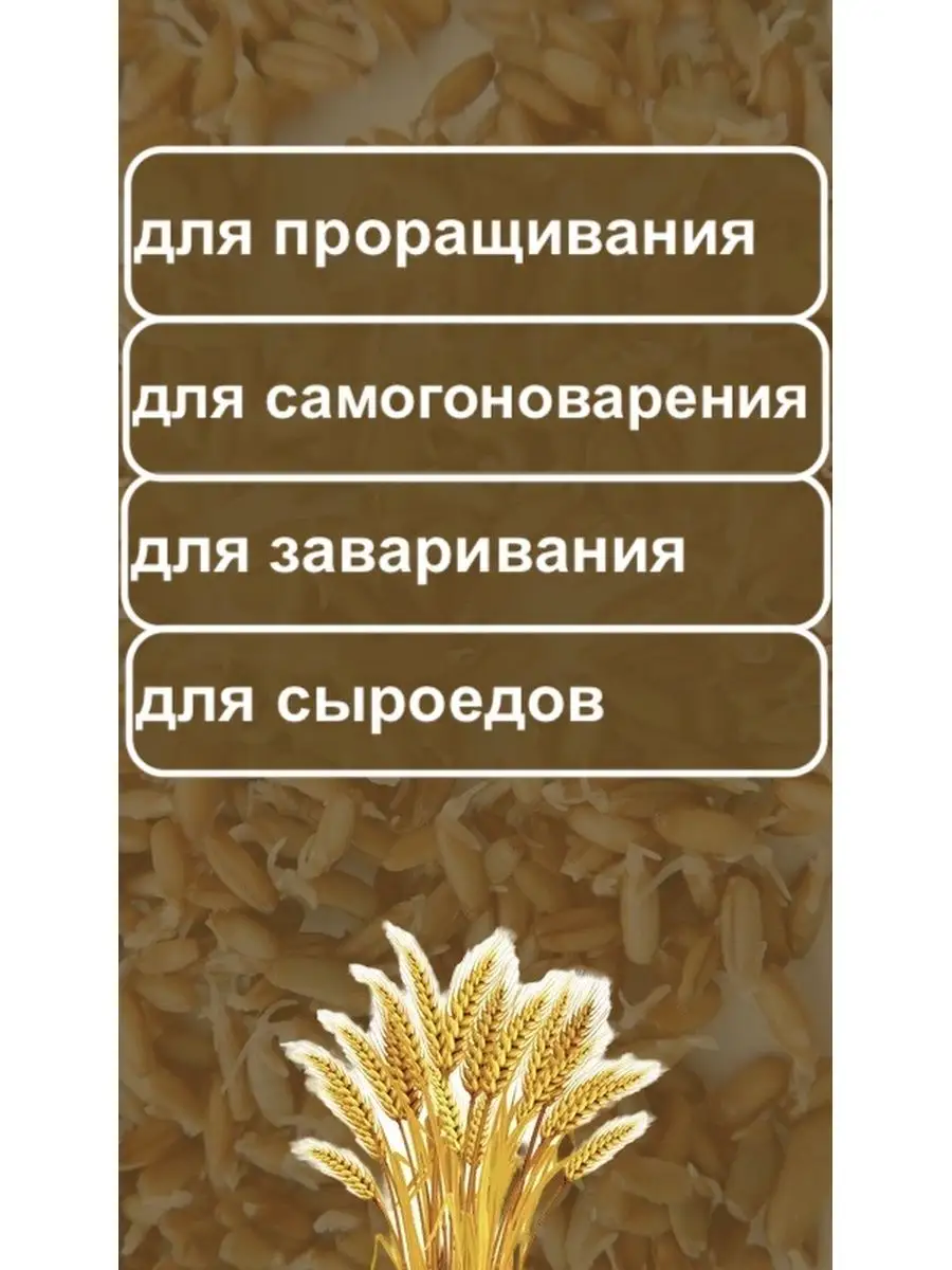 Рожь цельное зерно КРУПОВИЧОК 166536807 купить за 163 ₽ в интернет-магазине  Wildberries