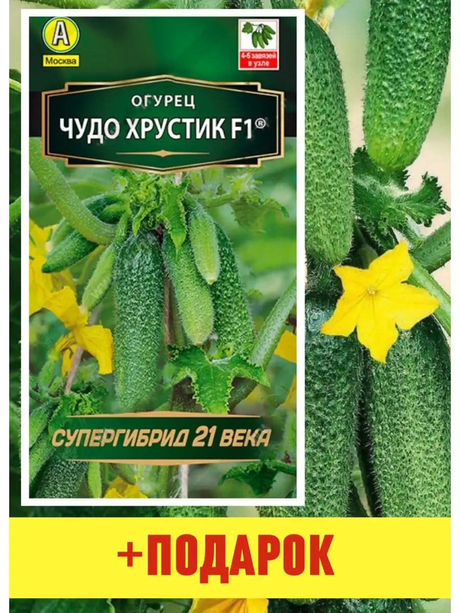 Семена огурцов огурцы семена Огурец Чудо хрустик 1 шт Агрофирма Аэлита  166570268 купить за 151 ₽ в интернет-магазине Wildberries