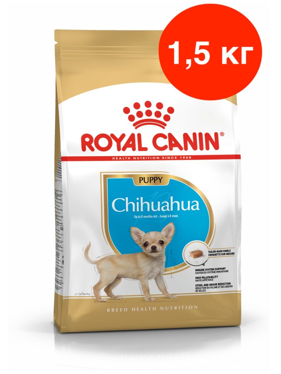 Роял канин для собак чихуахуа. Royal Canin чихуахуа. Чихуахуа 1.5 кг.