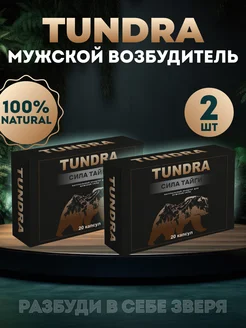 Возбудитель Тундра TUNDRA 166653647 купить за 511 ₽ в интернет-магазине Wildberries