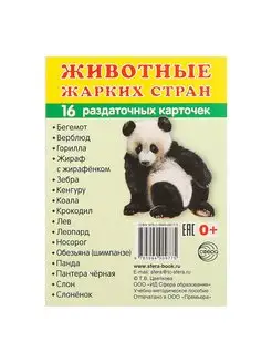 Раскраска Посмотри и раскрась. Первые уроки Животные жарких стран \ 08Рц5_11486 Хатбер