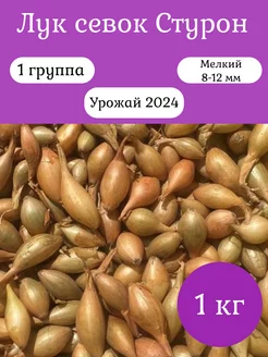 Лук севок озимый на посадку в зиму Стурон лучок-пучок 166679983 купить за 329 ₽ в интернет-магазине Wildberries