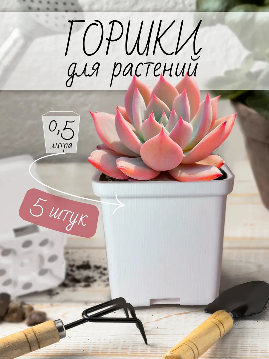 Цветочные белые горшки кашпо для суккулентов и растений