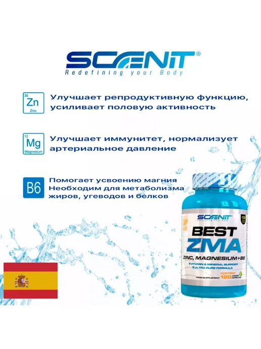 Scenit Nutrition Бустер тестостерона ZMA - 120 капсул, вариант, фото 5