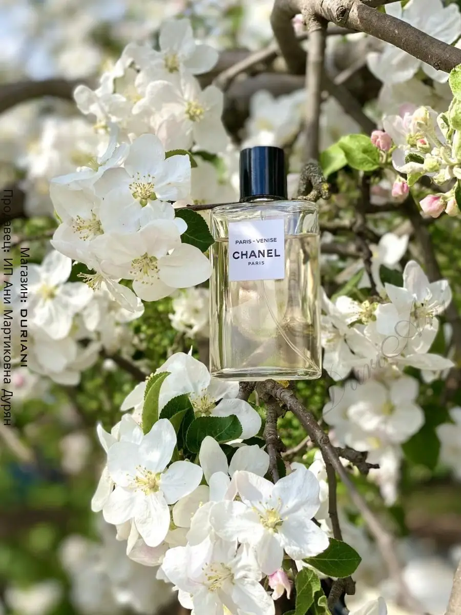 Духи по мотивам Paris Venise EDT Шанель125 мл chanel 166776471 купить за  595 ₽ в интернет-магазине Wildberries