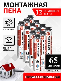 65 PROFESSIONAL всесезонная, 1000мл. 65л Технониколь 166800062 купить за 6 655 ₽ в интернет-магазине Wildberries