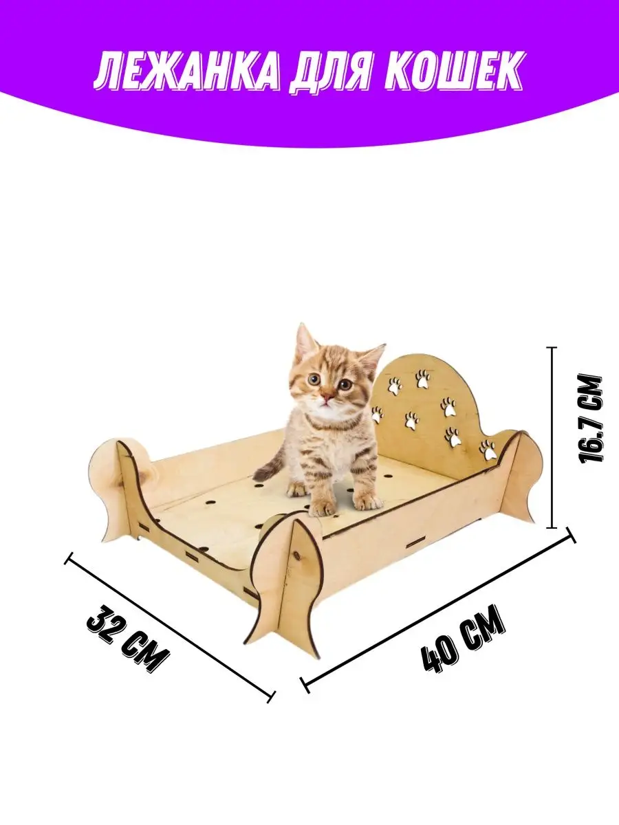 Зачем, если есть диван, или нужна ли для кошки отдельная лежанка?