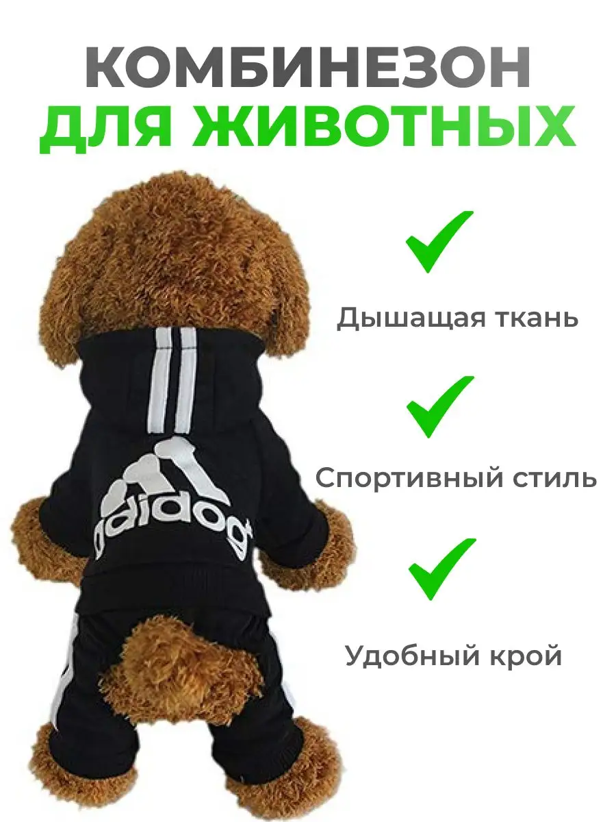 Adidas dog 2024 clothes amazon