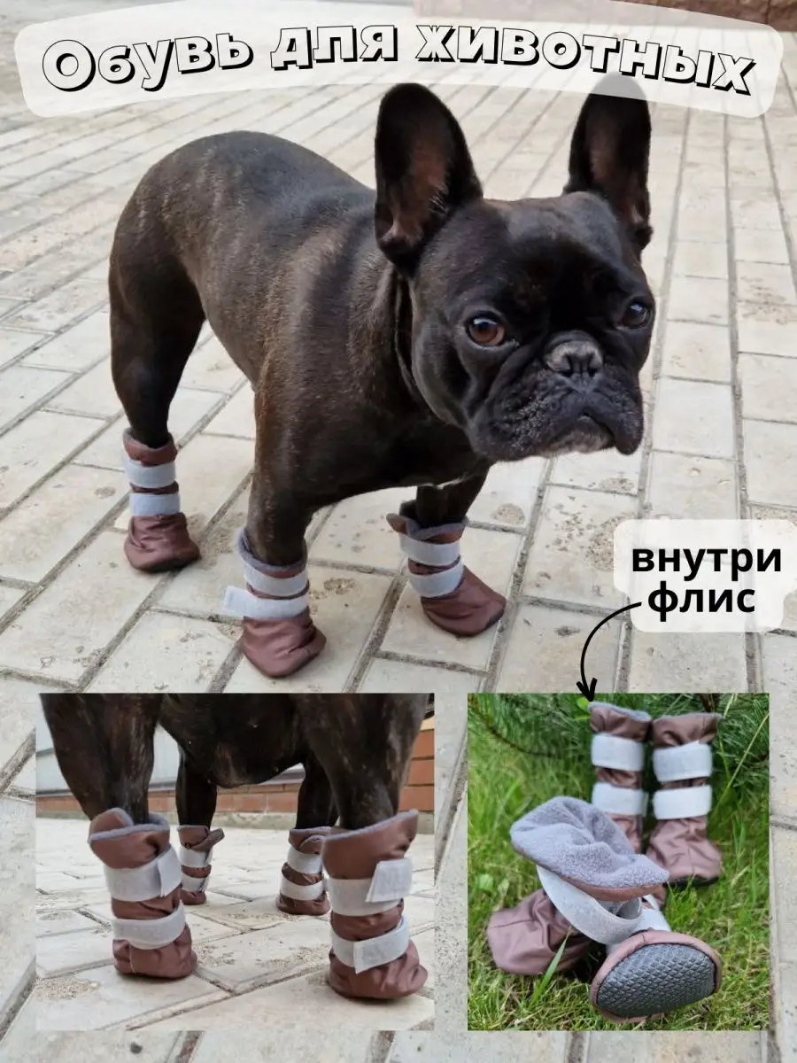 Высокие сапожки и носки для собак своими руками - Димон-Камон, одежда для соб�ак