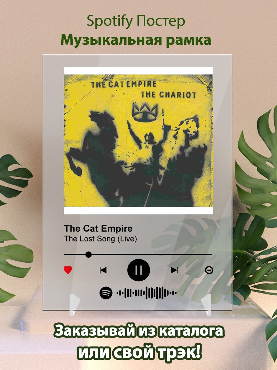 Cat empire the lost song перевод. The Lost Song the Cat Empire. Everytime / you от orslxmp. Постер спотифай музыкальный Честер давай помолчим.