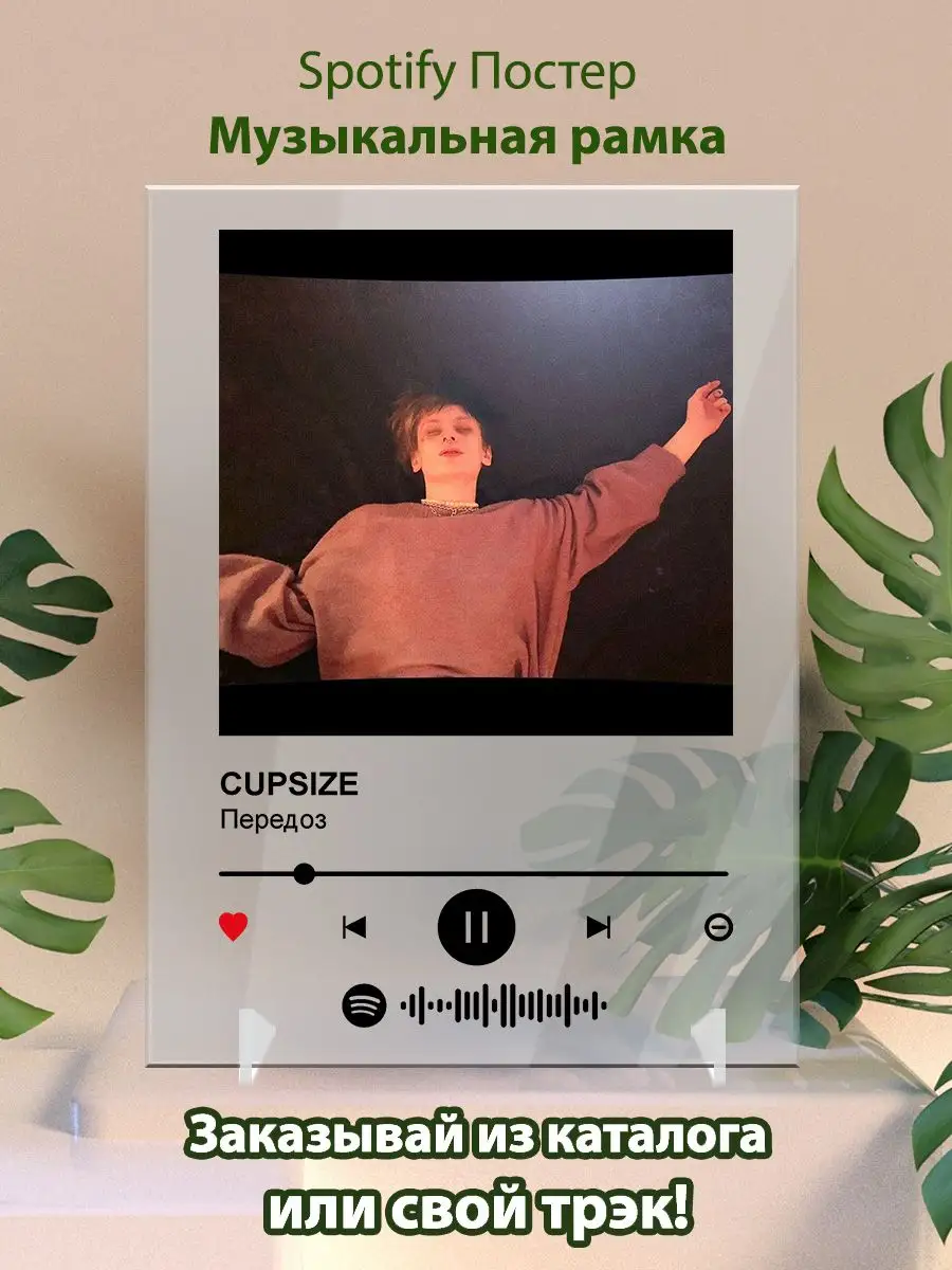 CUPSIZE  Spotify