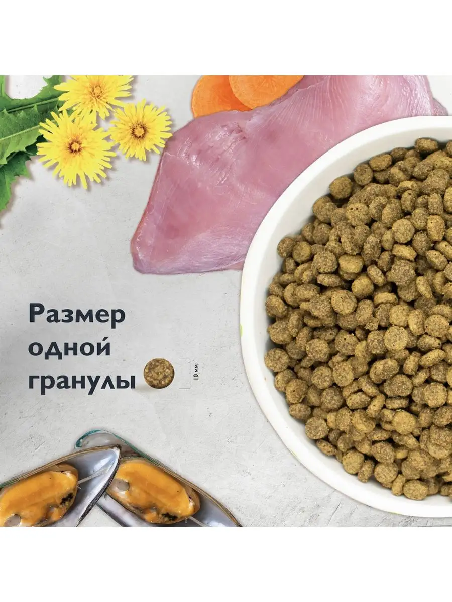 Корм сухой Cat Sterilised Urinary Care Индейка и Утка 400г Brit Care  166938977 купить за 533 ₽ в интернет-магазине Wildberries