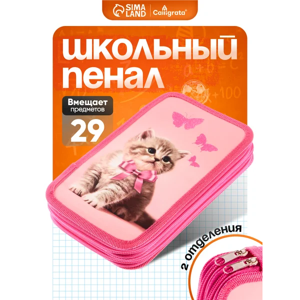 Пенал школьный подростковый 2 отделения с котиком