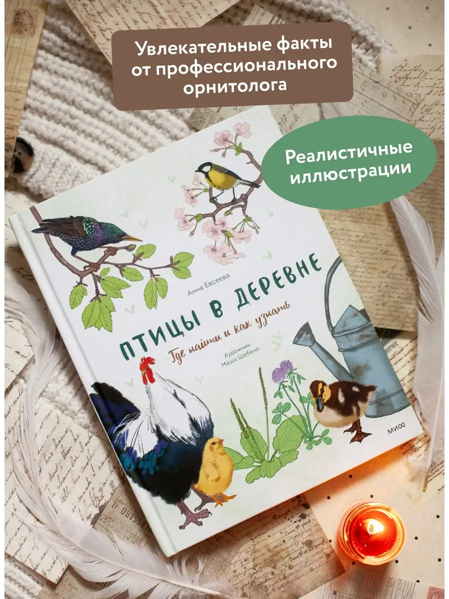 Птицы в деревне. Где найти и как узнать Издательство Манн, Иванов и Фербер  166947800 купить за 753 ₽ в интернет-магазине Wildberries