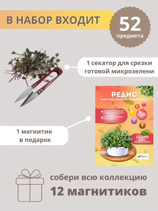 ShpiNat выращивай дома Микрозелень набор семена для проращивания, вариант, фото 6