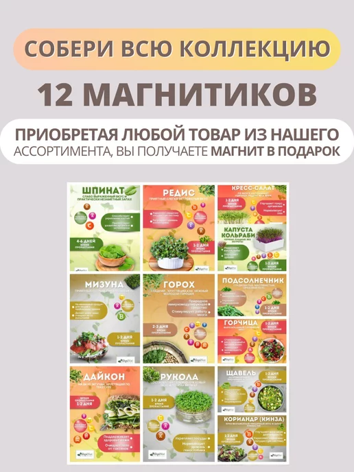 ShpiNat выращивай дома Микрозелень набор семена для проращивания, вариант, фото 7