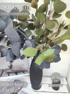 Эвкалипт стабилизированный сухоцвет натуральный Варварушка-декор/Сухоцветы/Пампасная трава 167076731 купить за 840 ₽ в интернет-магазине Wildberries