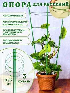 Поддержка опора для растений и цветов 75 см 3 кольца Агротоп 167086863 купить за 294 ₽ в интернет-магазине Wildberries