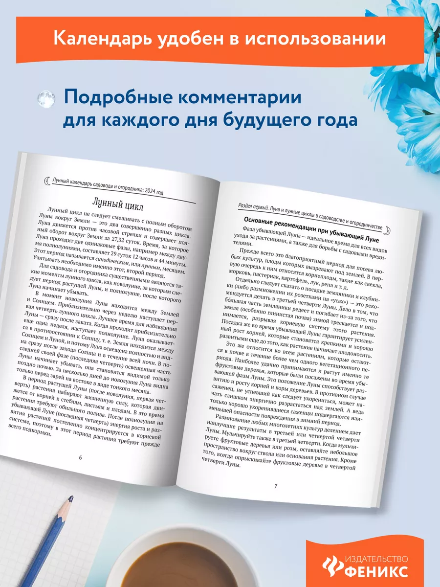 Лунный календарь садовода и огородника 2024 год Издательство Феникс  167103738 купить за 176 ₽ в интернет-магазине Wildberries