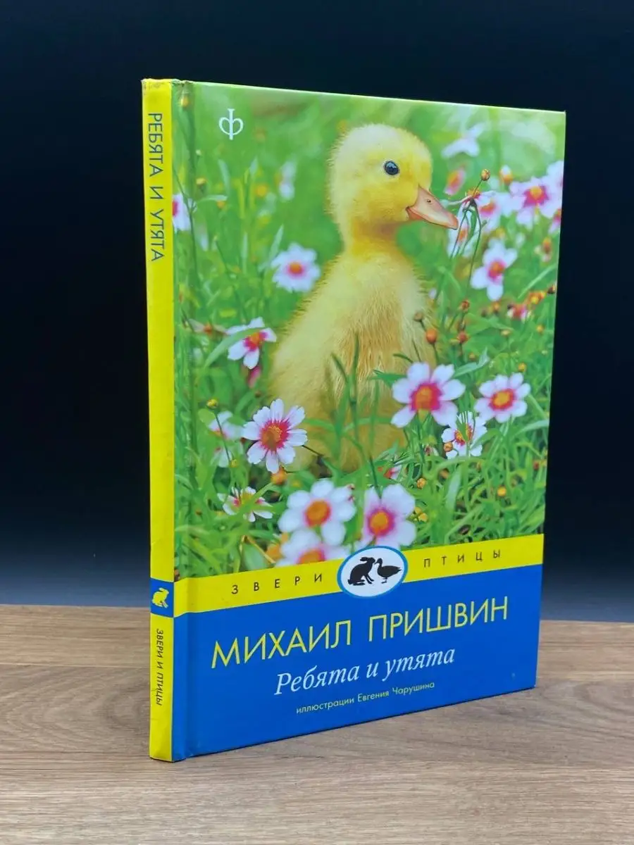 Ребята и утята