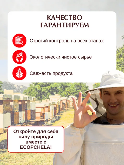 Эко Пчела Здоровье Пыльца Цветочная Пчелиная 500 гр, 500 г, фото 8