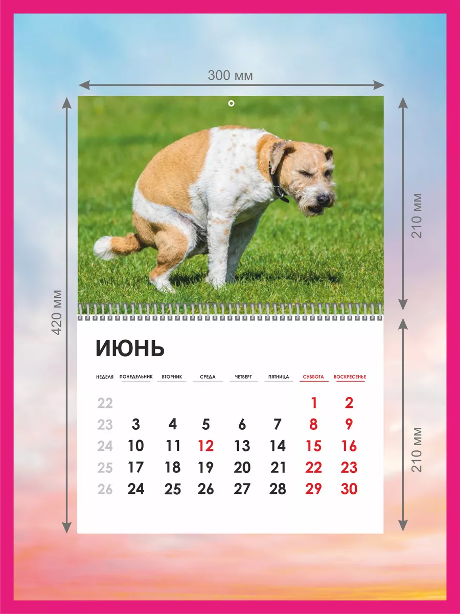 Прикольный календарь Какающие собаки 2024 год КОМБО 167110773 купить за 344  ₽ в интернет-магазине Wildberries