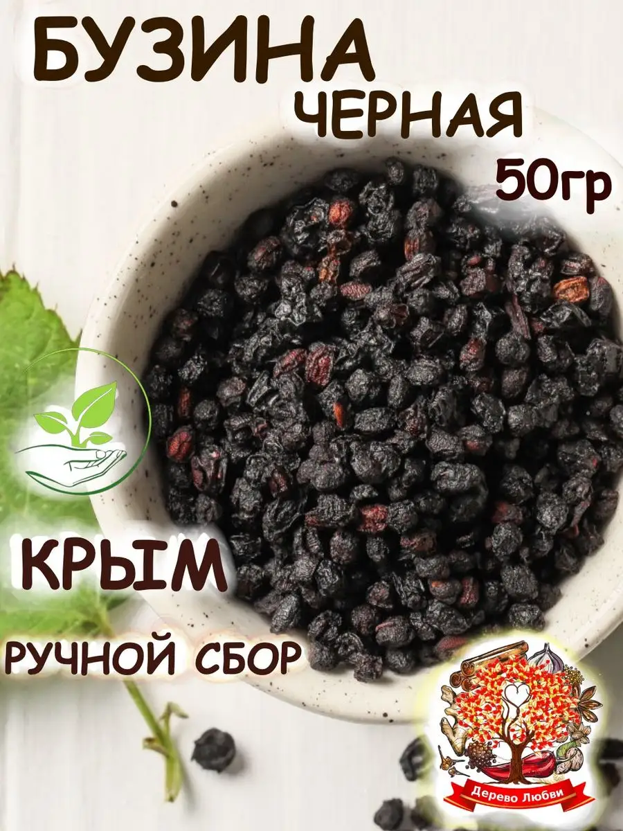Бузина черная плоды