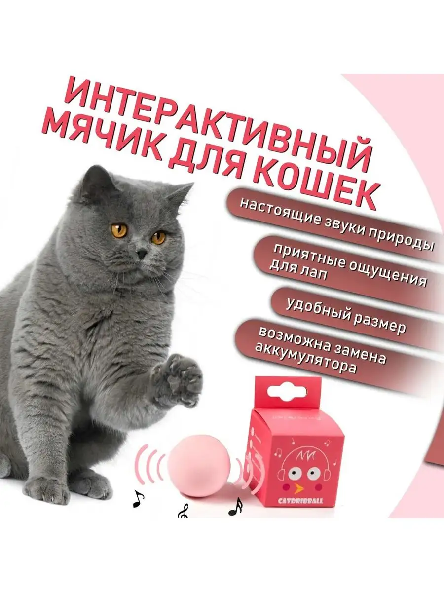 Игрушки для кошек интерактивные с мятой Kotobol 167115979 купить за 209 ₽ в  интернет-магазине Wildberries