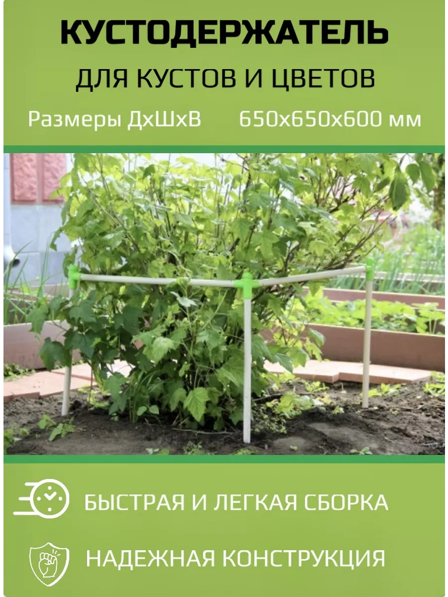 За копейки сделал простое и красивое ограждение для кустов смородины и крыжовника