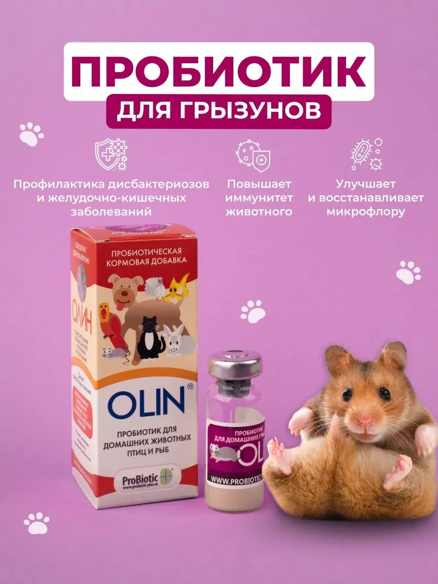 Пробиотик для домашних грызунов OLIN 167159348 купить в интернет-магазине  Wildberries